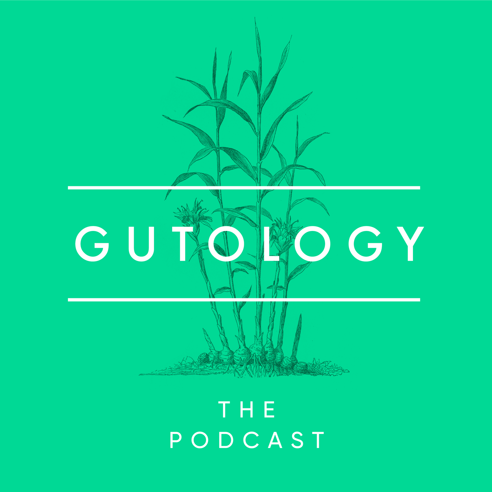 Gutologie – Der Top 10 Gesundheits-Podcast