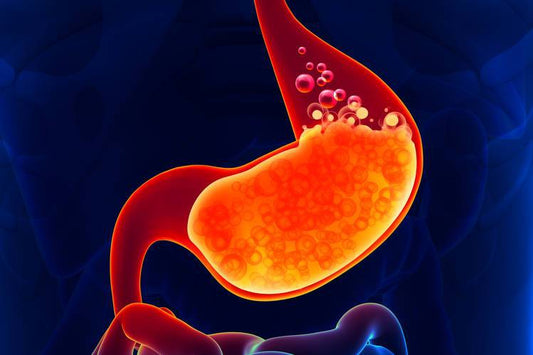 Boosting your stomach acid could improve your Gut Health-Gutology