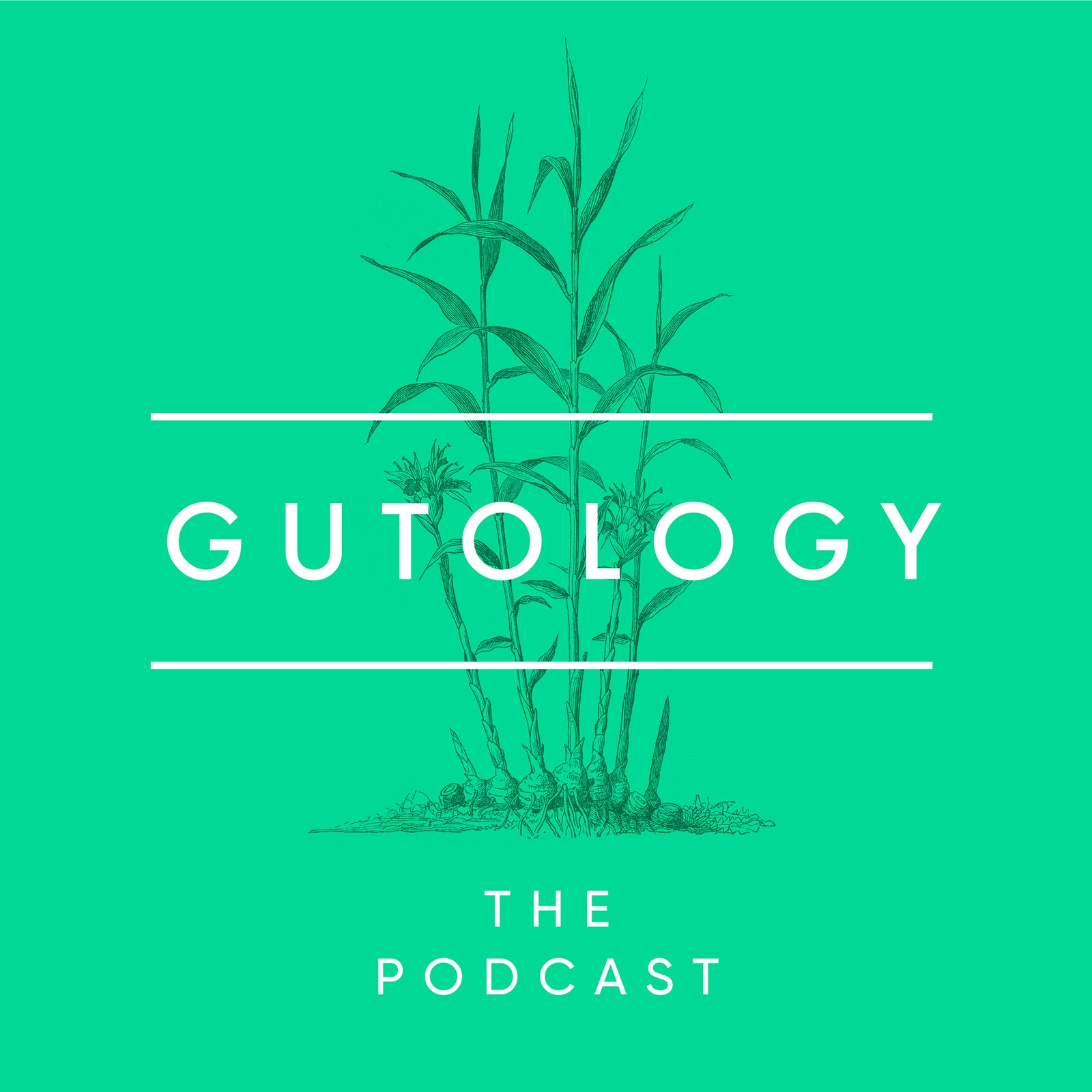 Der Gutologie-Podcast