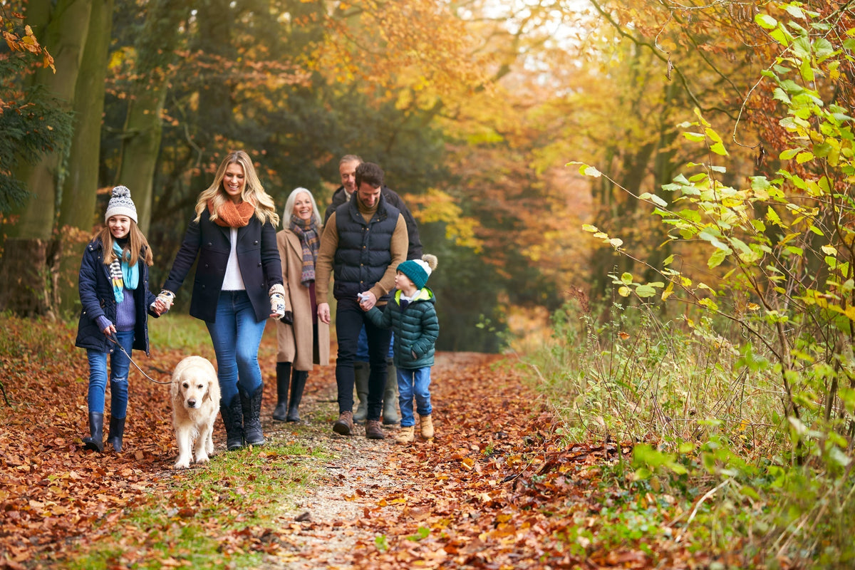 Preparing Your Immune System for Autumn and Winter